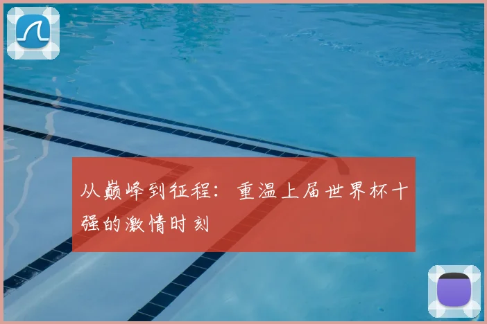 从巅峰到征程:重温上届世界杯十强的激情时刻
