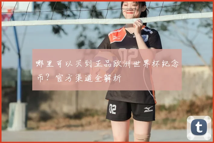 哪里可以买到正品欧洲世界杯纪念币？官方渠道全解析