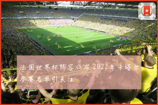法国世界杯阵容公布 2022年卡塔尔参赛名单引关注