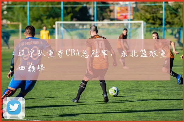 辽宁队重夺CBA总冠军,东北篮球重回巅峰