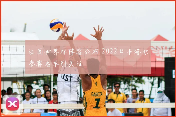 法国世界杯阵容公布 2022年卡塔尔参赛名单引关注