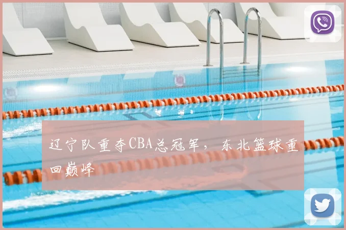 辽宁队重夺CBA总冠军,东北篮球重回巅峰