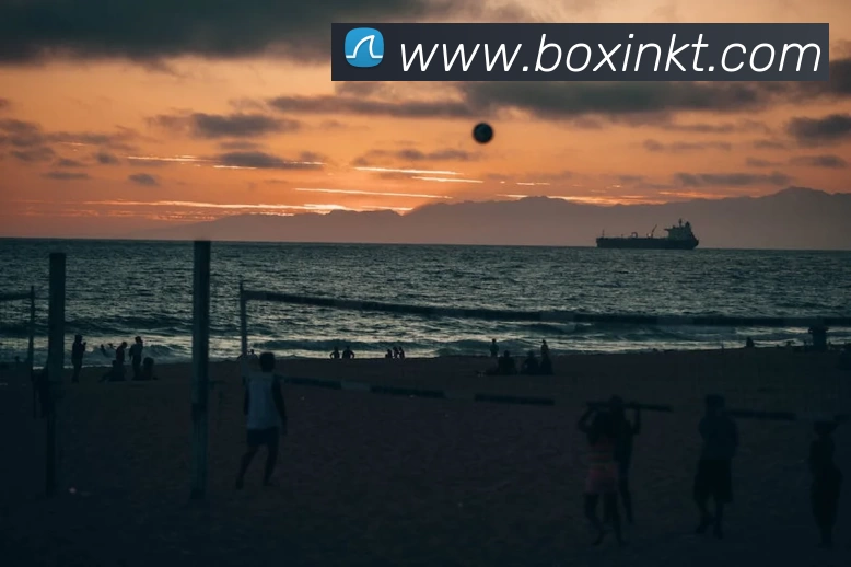 多媒体互动体验